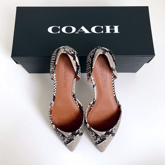 Coach Shoes - ❌SOLD- COACH Printed Exotic Pointy Toe Flat 5.5